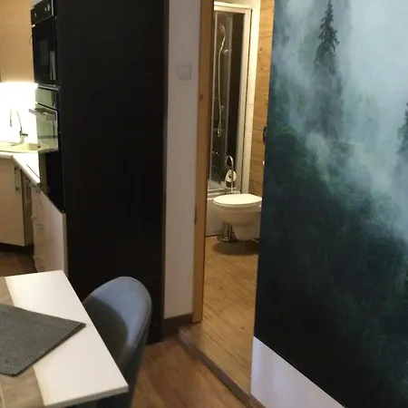 Trzy Podkowy Apartment *